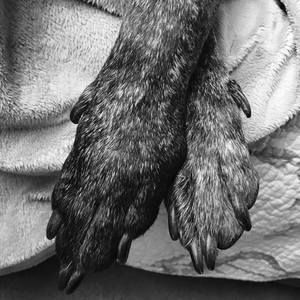 Meet your Posher, Lynn